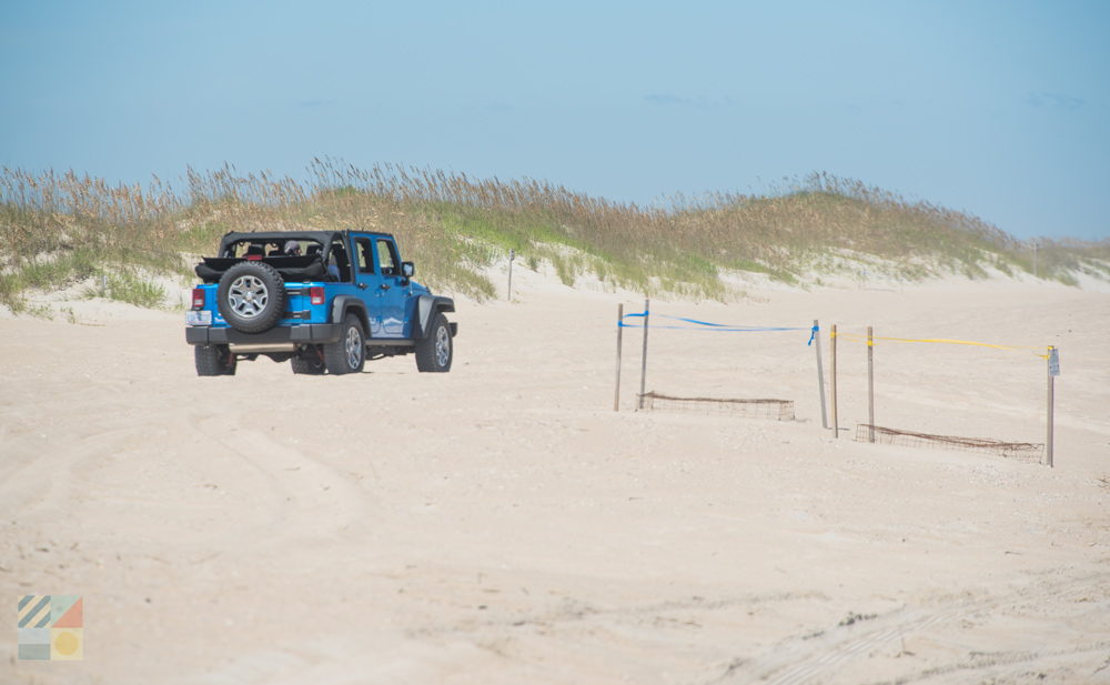 A Jeep drives around some sea turtle nests at the Fort Fisher NC 4x4 area