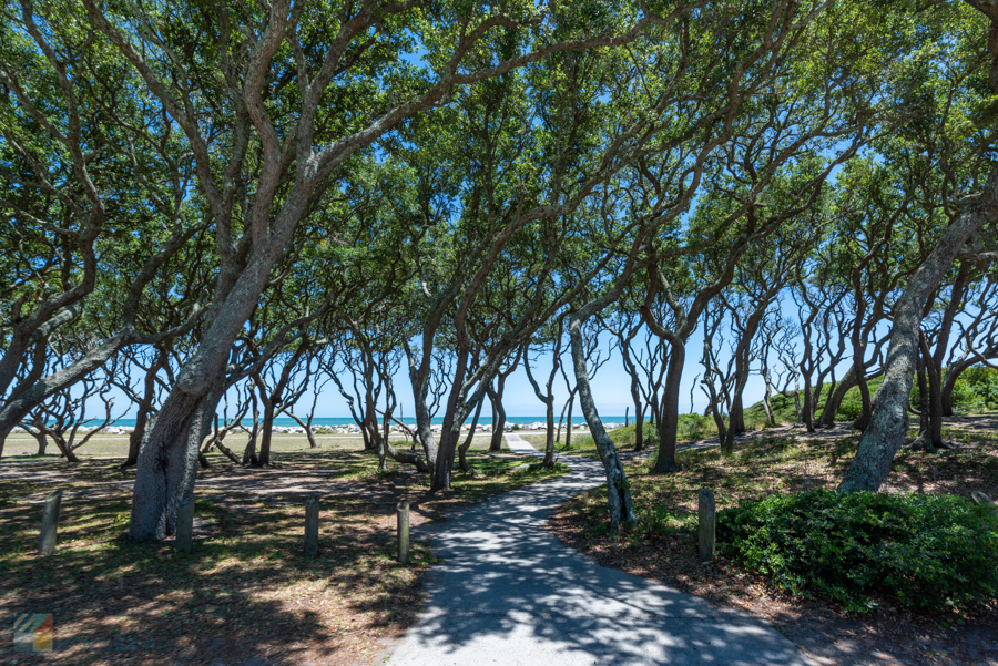 Fort Fisher