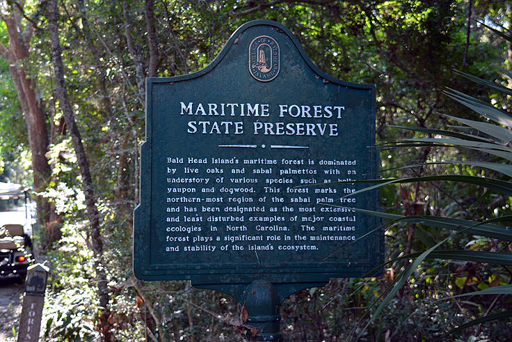 A Maritime Forest Preserve marker at Bald Head Woods, NC