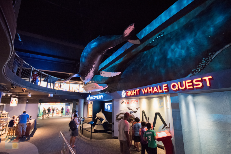 Lots of Interaction at the NC Aquarium at Fort Fisher