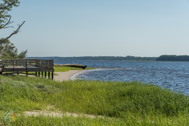 Water's edge at Carolina Beach State Park