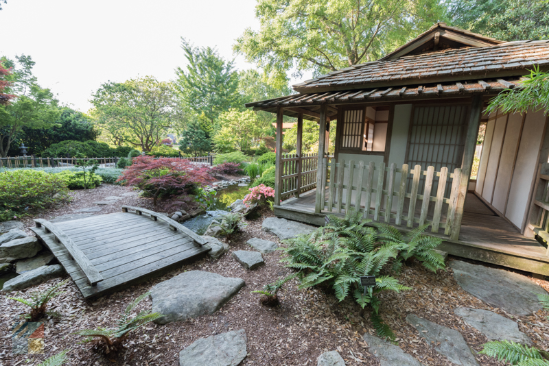 New Hanover County Arboretum