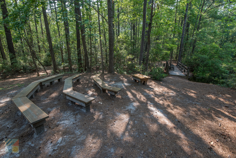 Bluethenthal Wildflower Preserve