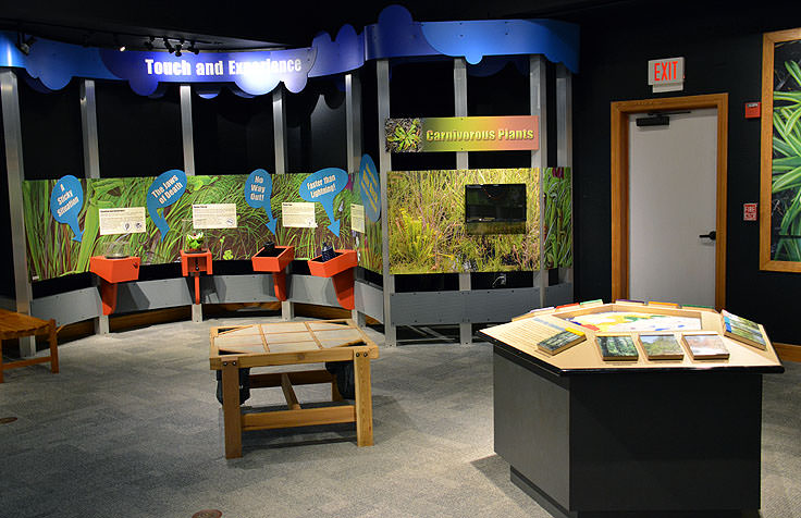 An exhibit at Carolina Beach State Park