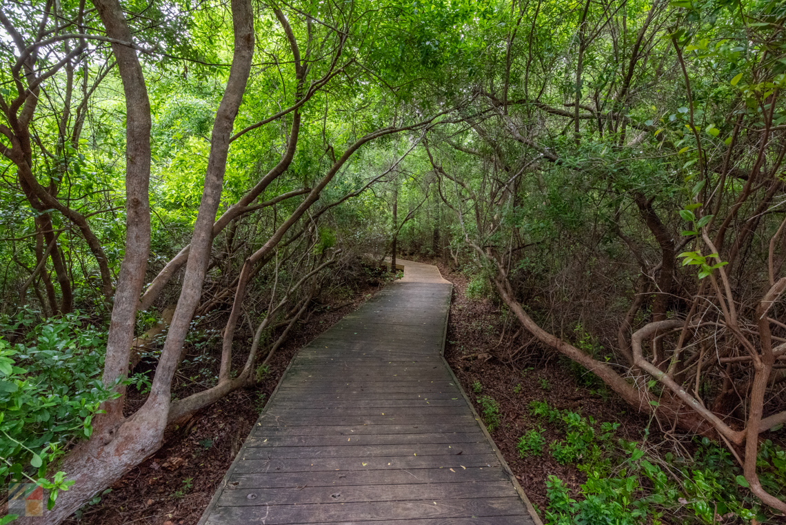 Halyburton Park Wilmington NC
