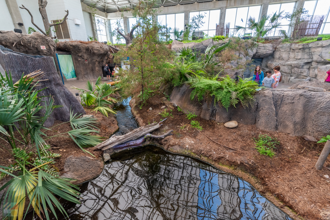 NC Aquarium Fort Fisher