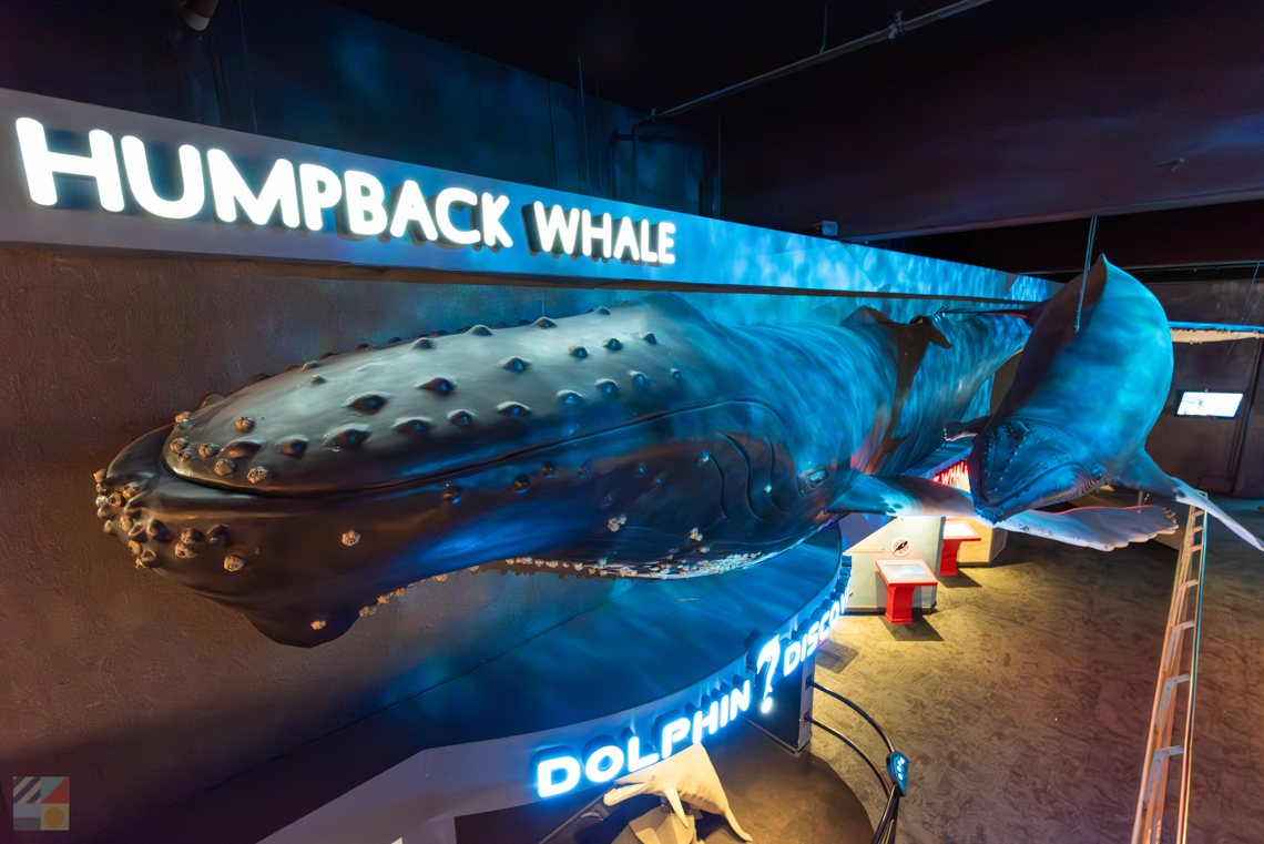 NC Aquarium Fort Fisher