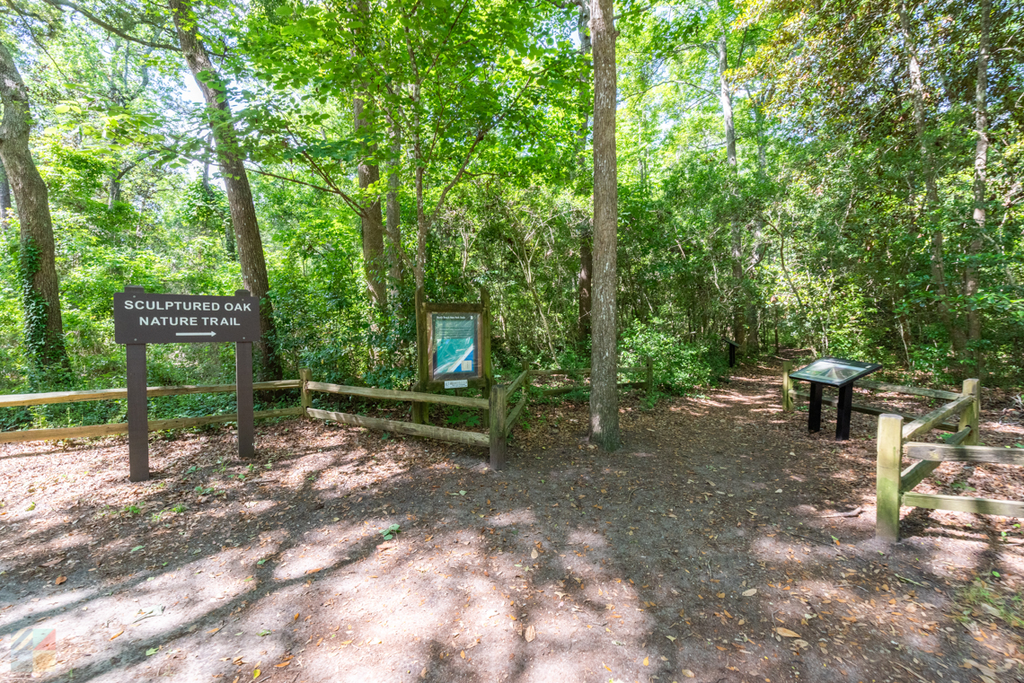 Myrtle Beach State Park