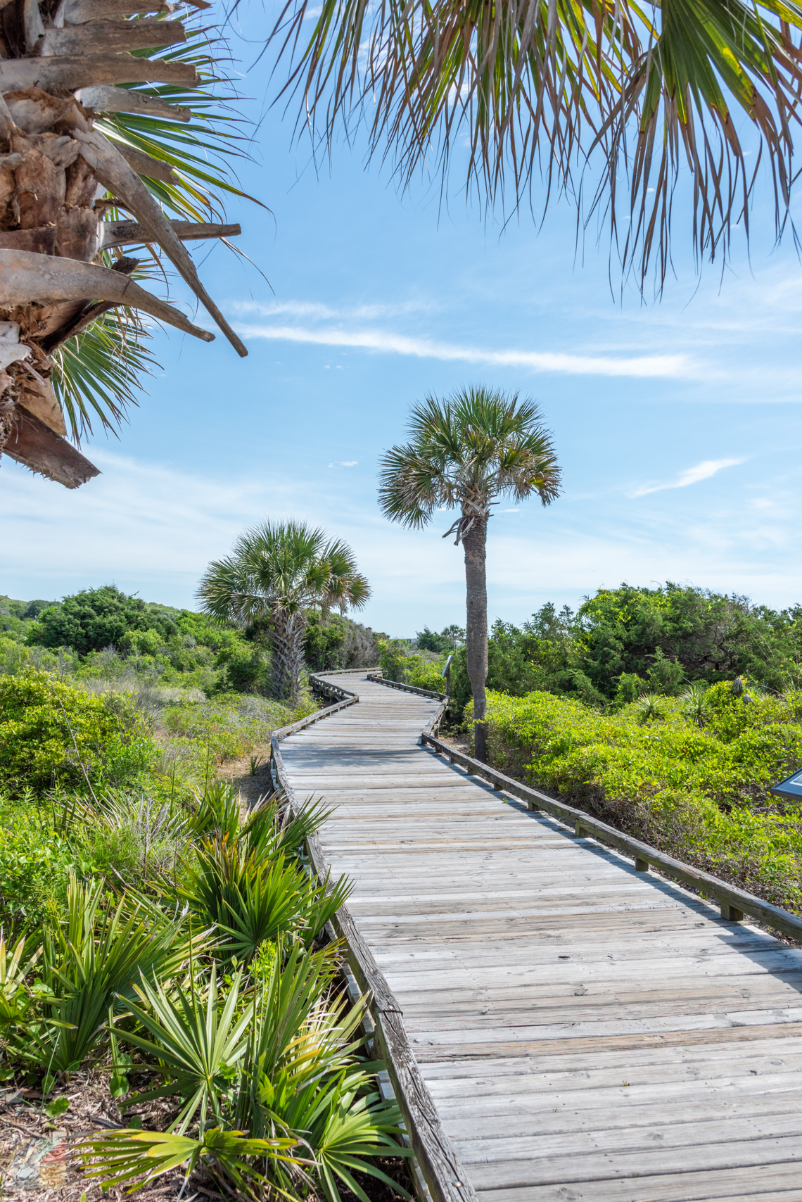 Myrtle Beach State Park