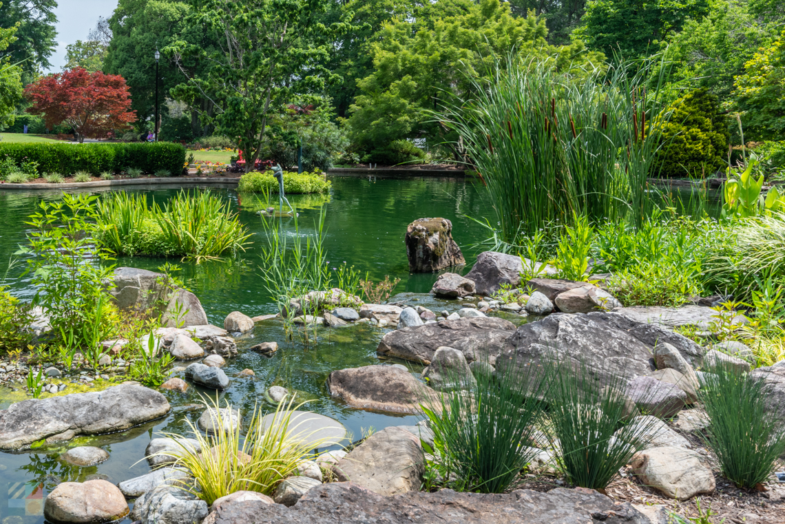 New Hanover County Arboretum