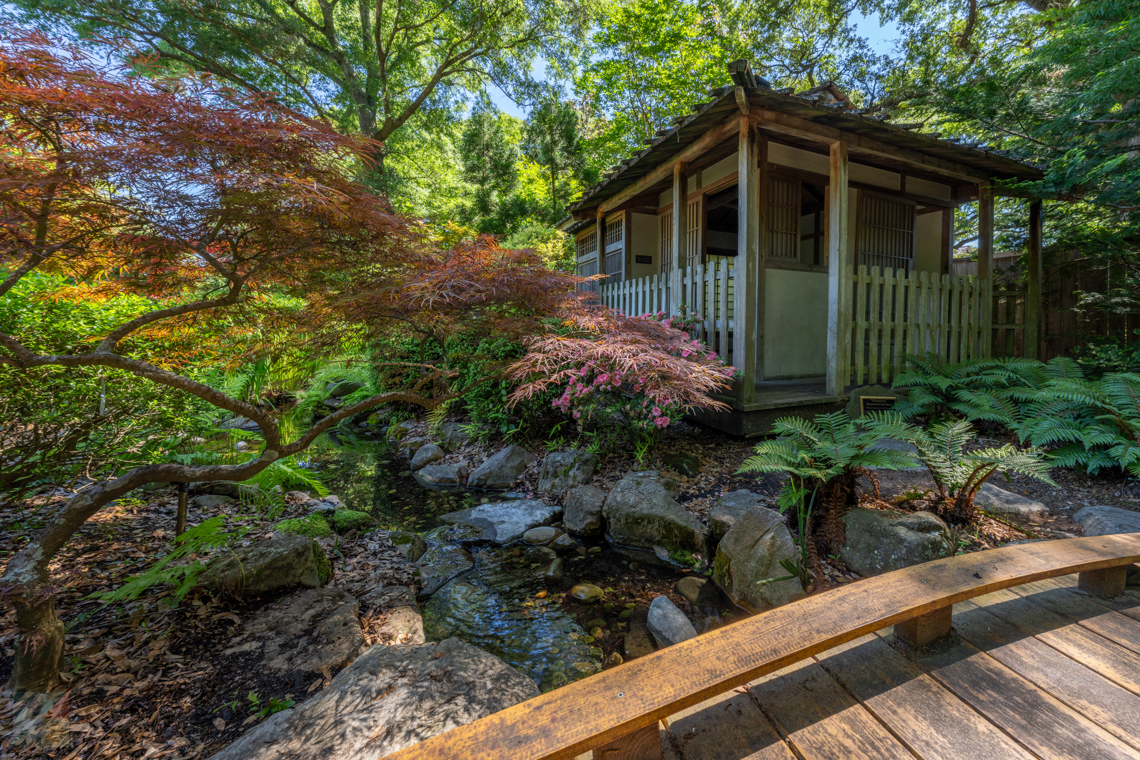 New Hanover Arboretum