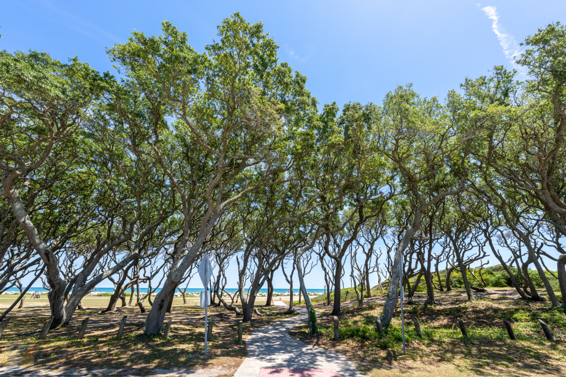 Fort Fisher State Recreation Area
