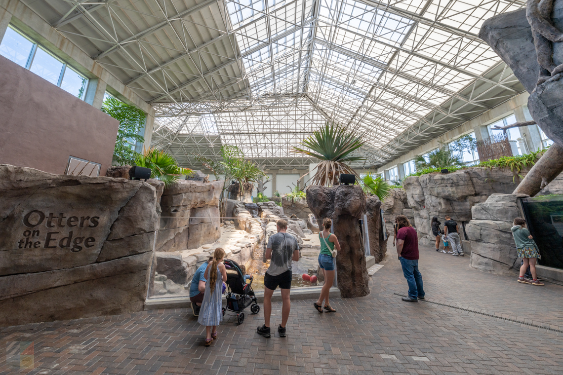 NC Aquarium Fort Fisher