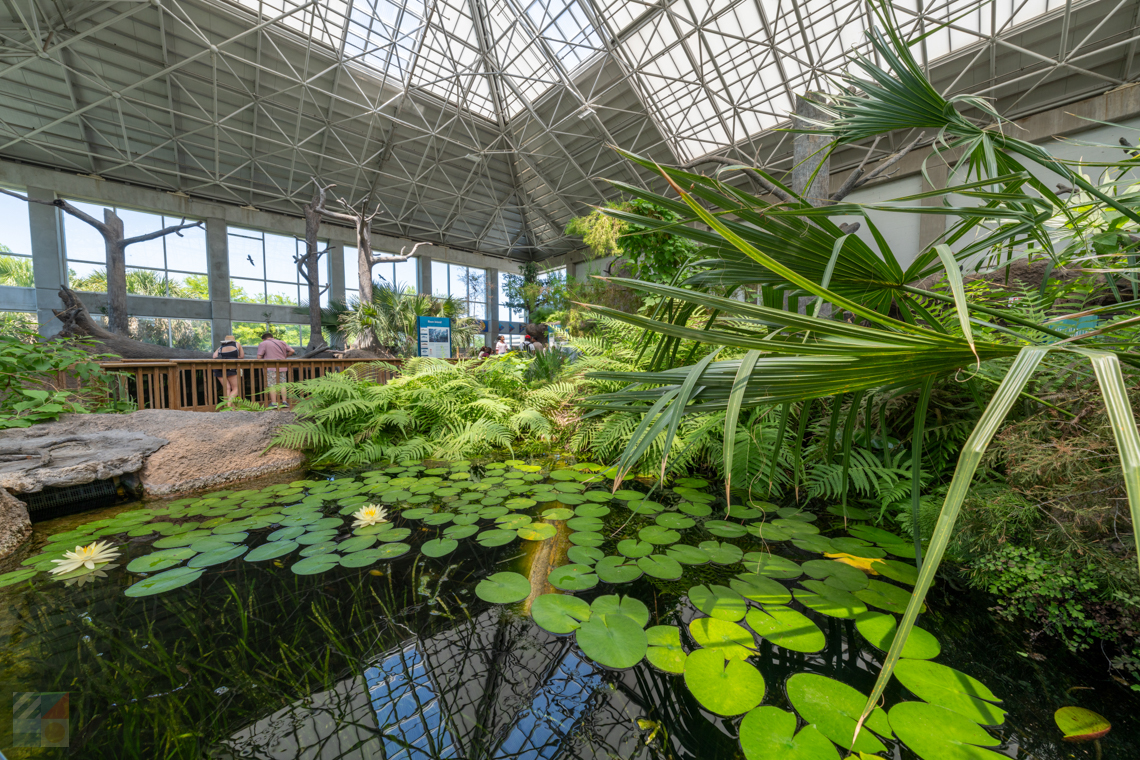 NC Aquarium Fort Fisher