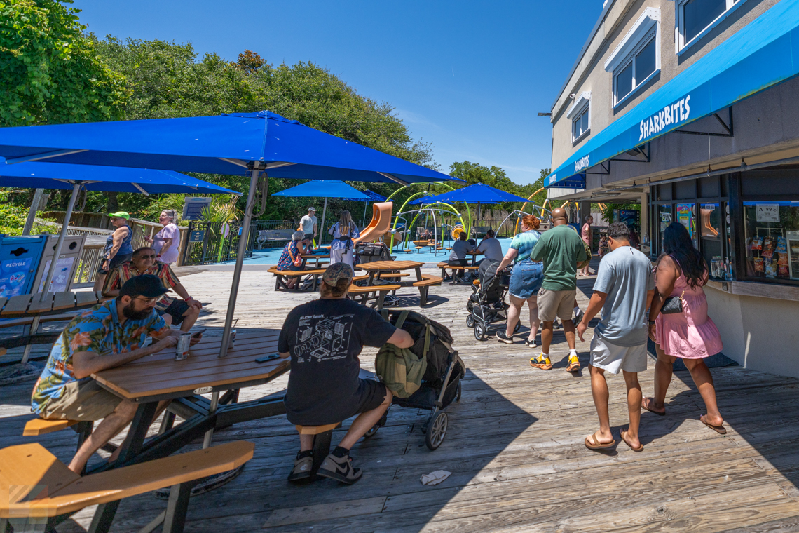NC Aquarium Fort Fisher