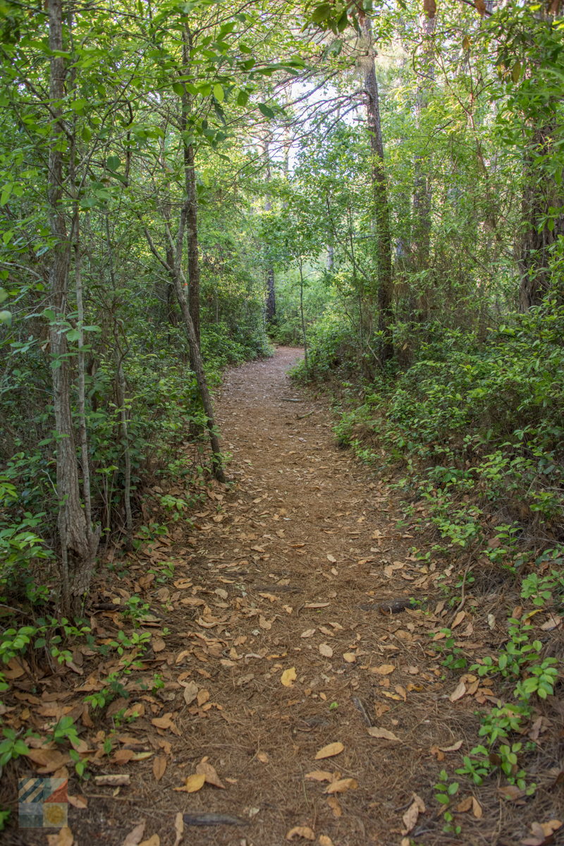 Halyburton Park