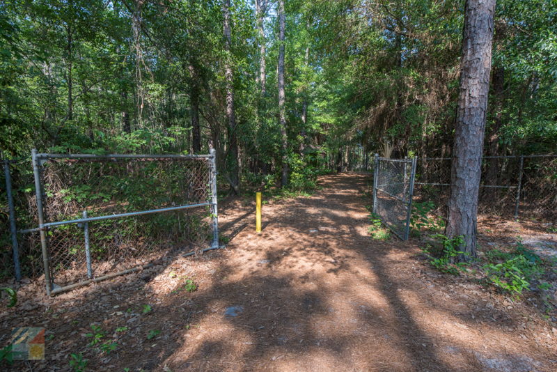 Bluethenthal Wildflower Preserve