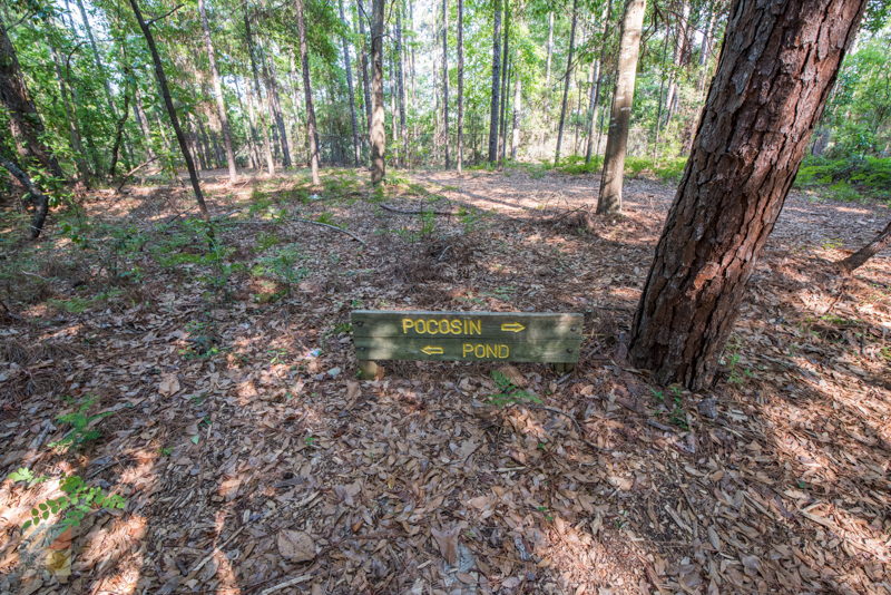 Bluethenthal Wildflower Preserve