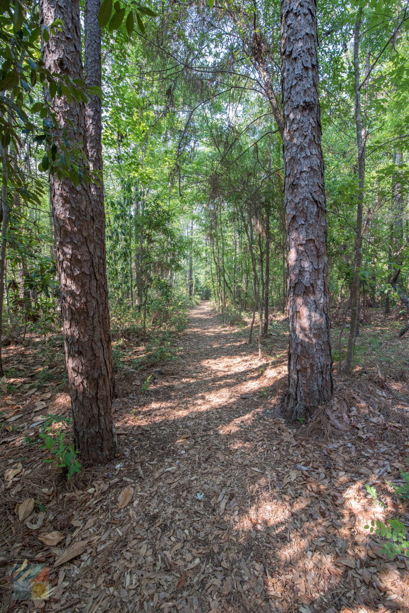 Bluethenthal Wildflower Preserve