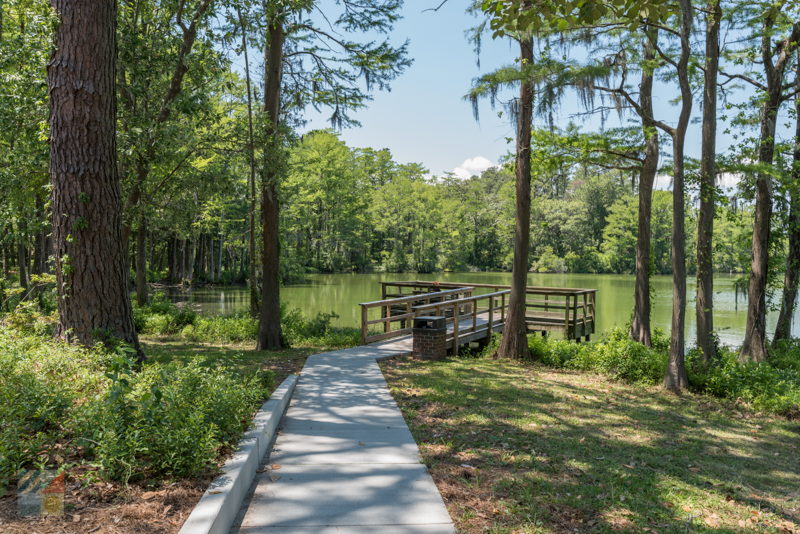 Greenfield Lake Park in Wilmington NC