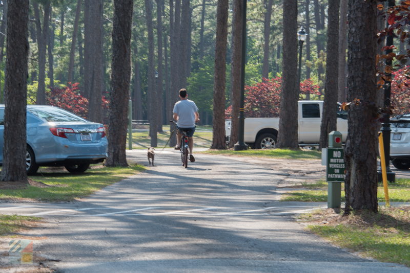 Long Leaf Park