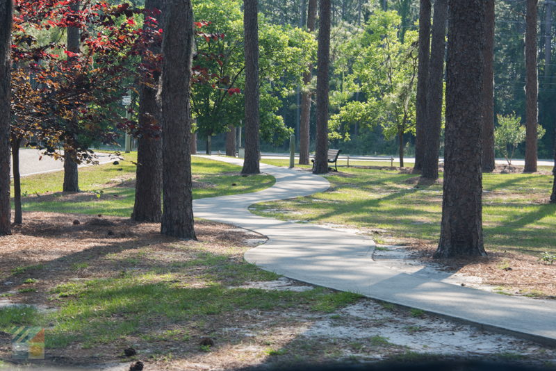 Long Leaf Park