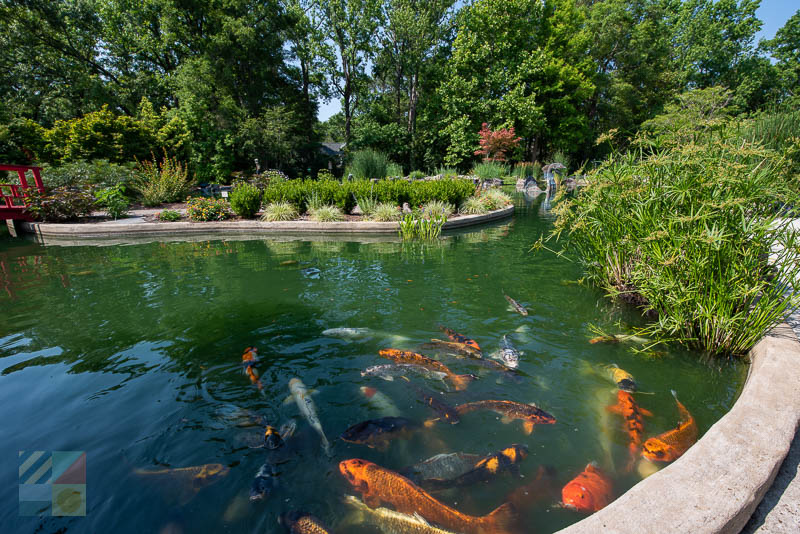 New Hanover County Arboretum