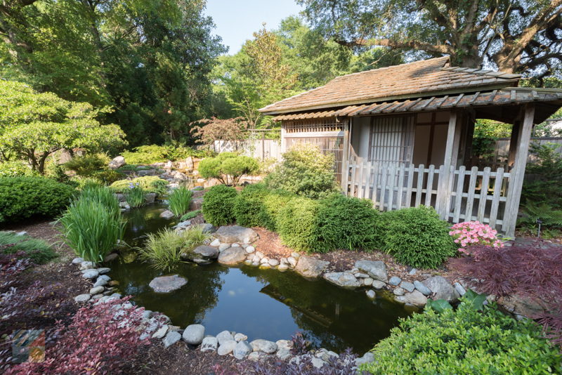 New Hanover County Arboretum