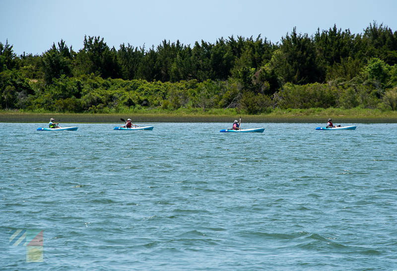Kayakers in front of the Rachel Carson Reserve