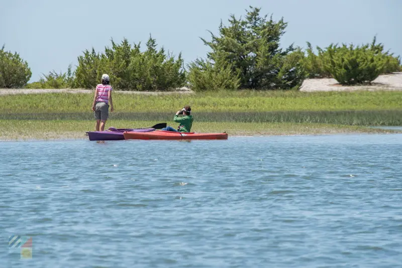 Rachel Carson Estuarine Reserve