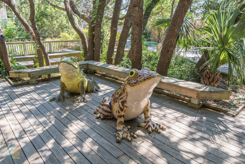 NC Aquarium at Fort Fisher