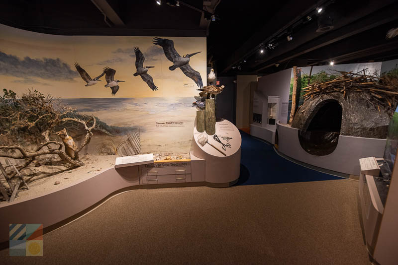 Cape Fear Museum