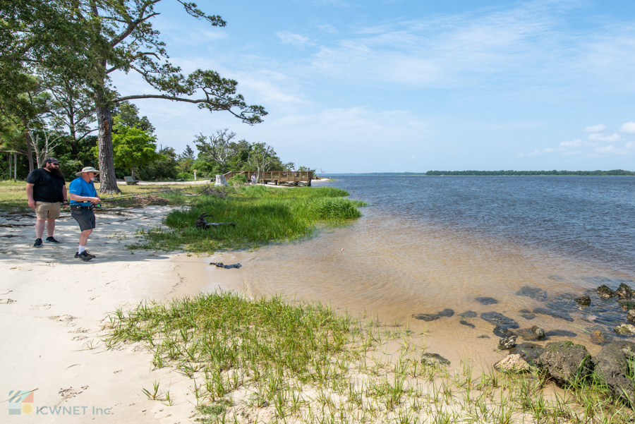 Carolina Beach State Park