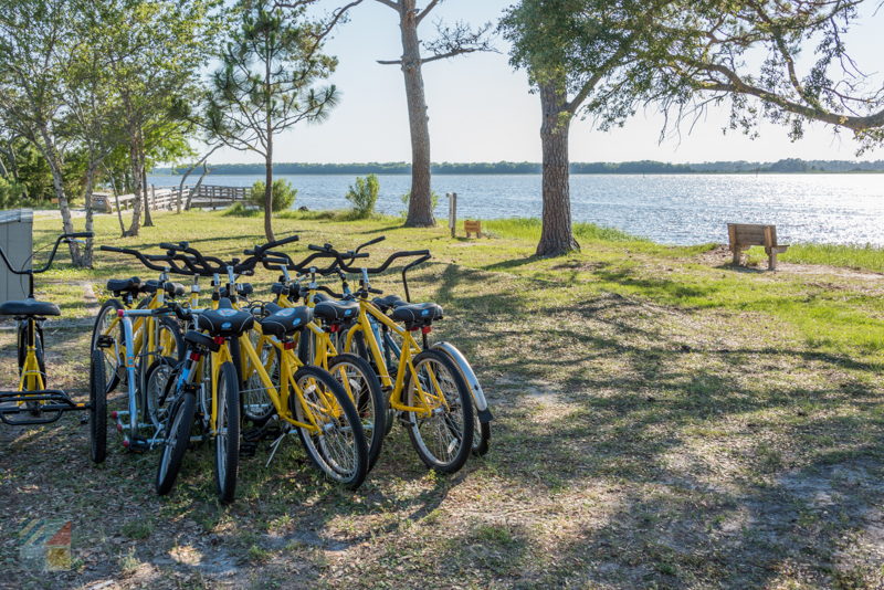 Carolina Beach State Park