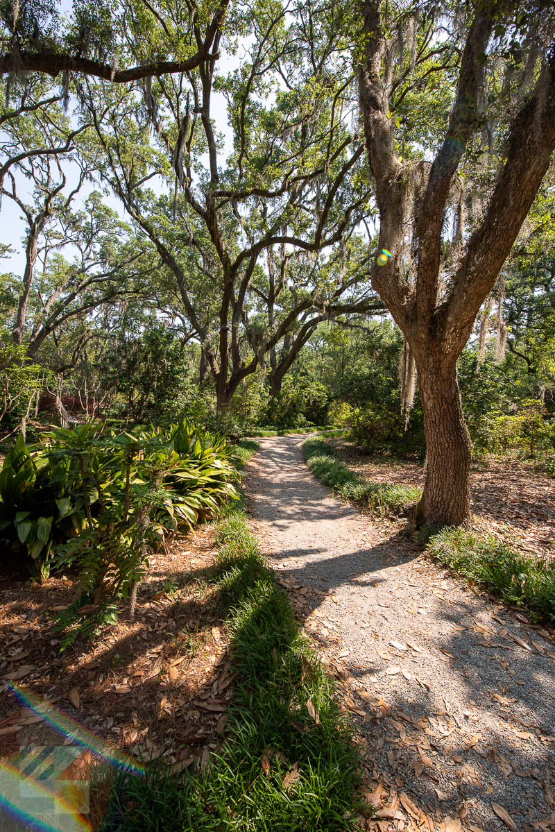 Airlie Gardens in Wilmington NC