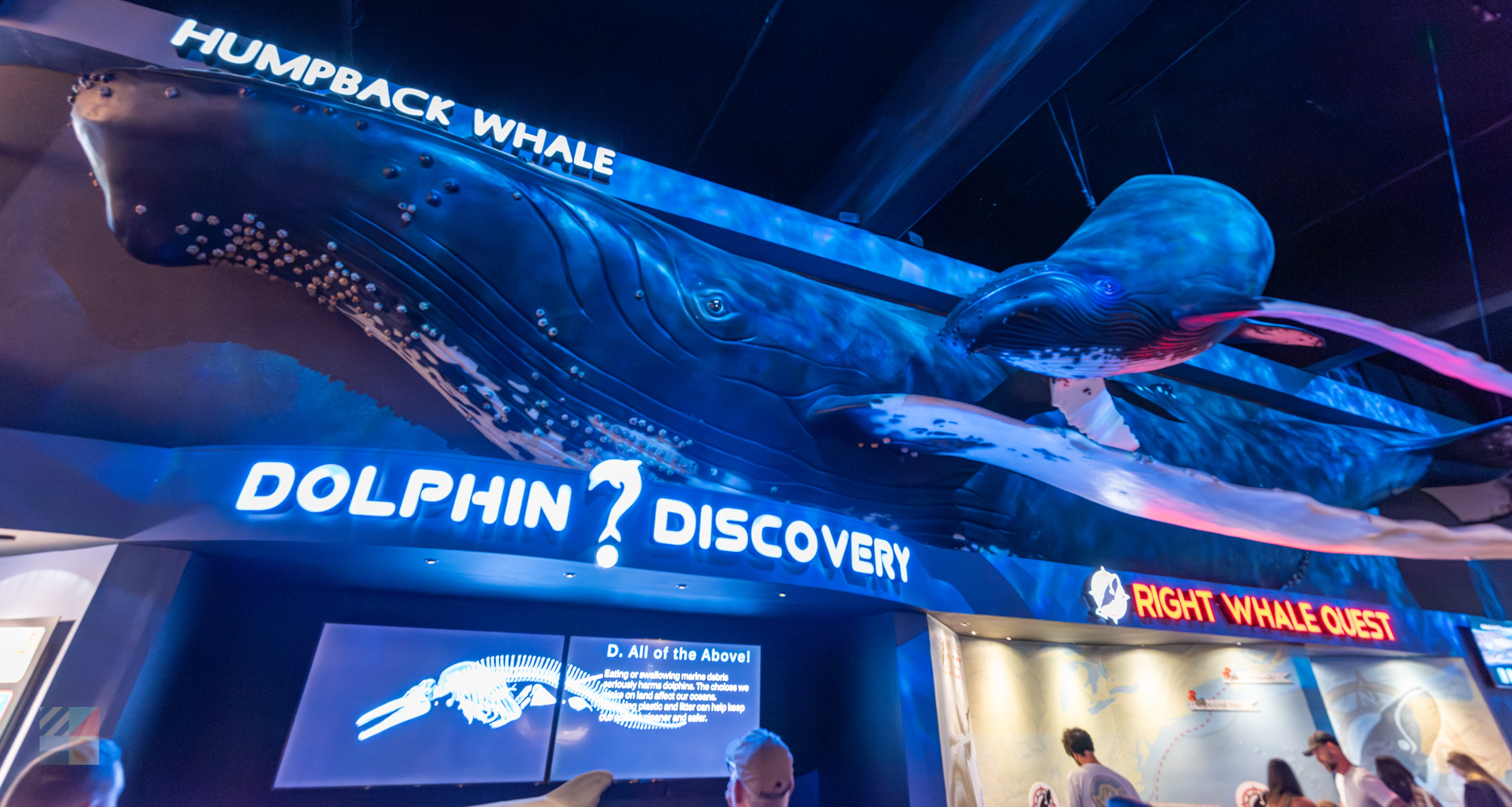 NC Aquarium Fort Fisher