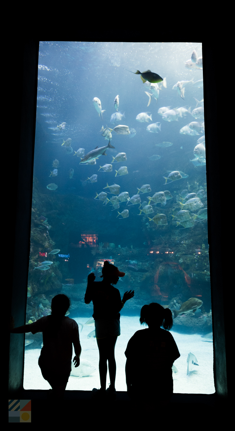 NC Aquarium big tank