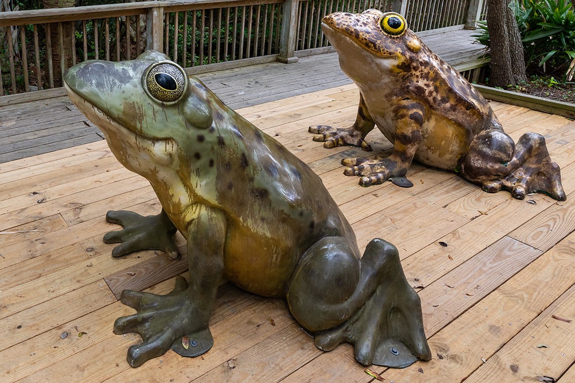 Cape Fear Educational Activities