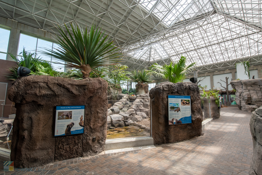 NC Aquarium Fort Fisher