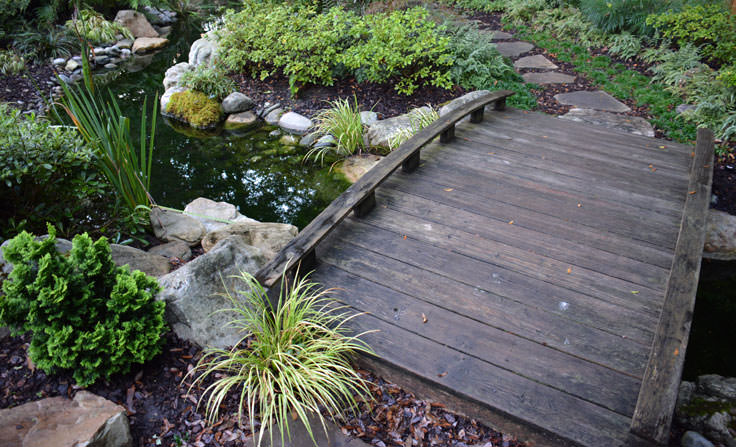 The Japanese Garden at New Hanover County Arboretum in Wilmington, NC