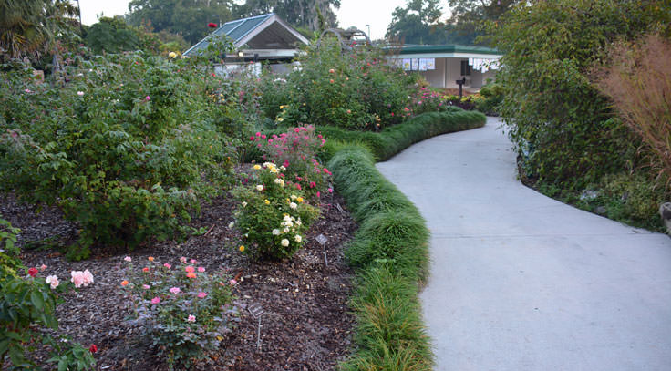 Beautiful gardens at New Hanover County Arboretum in Wilmington, NC