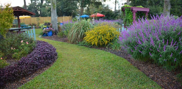 New Hanover County Arboretum in Wilmington, NC