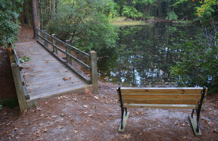 A small bridge and bench at the Herbert Bluethenthal Memorial Wildflower Preserve