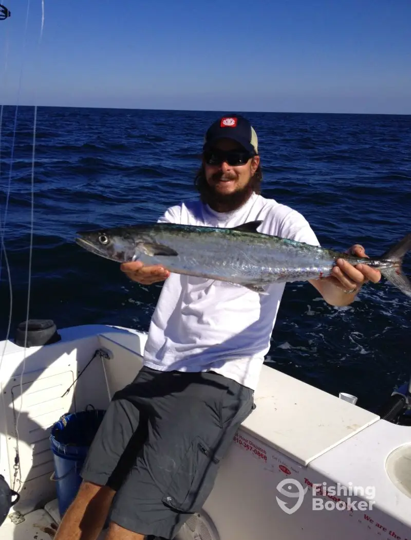 Tail Chaser Charter Fishing charter image 3