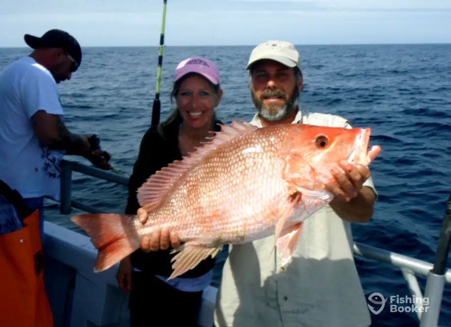 charter image 2
