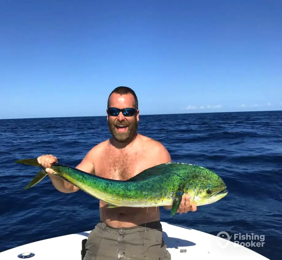 charter image 3