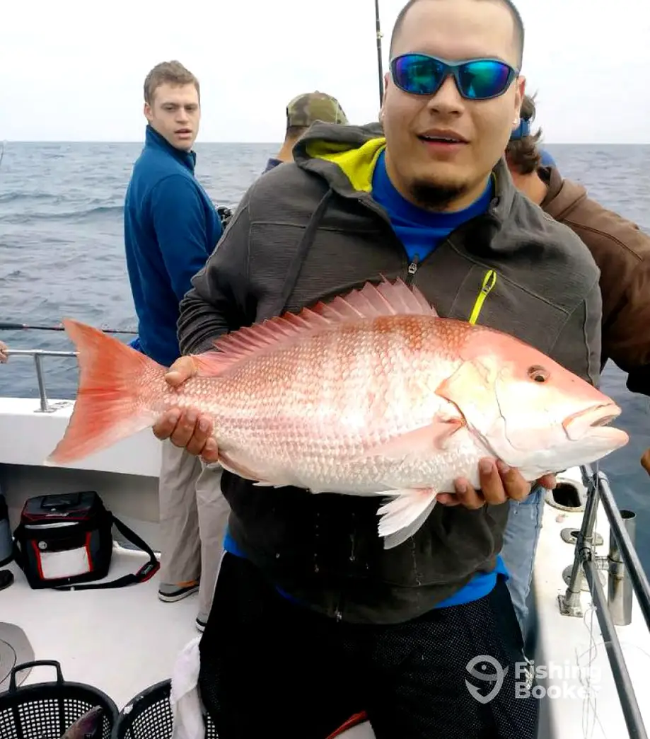 charter image 5