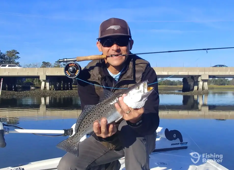 Captain Big Fish – Light Lines