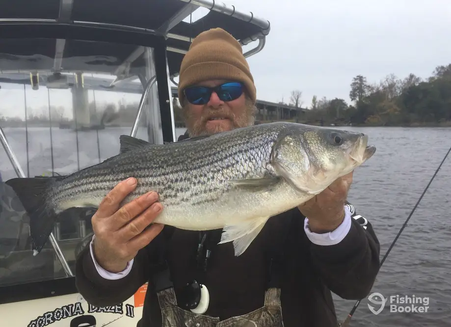 NC Inshore Fishing Charters charter image 2