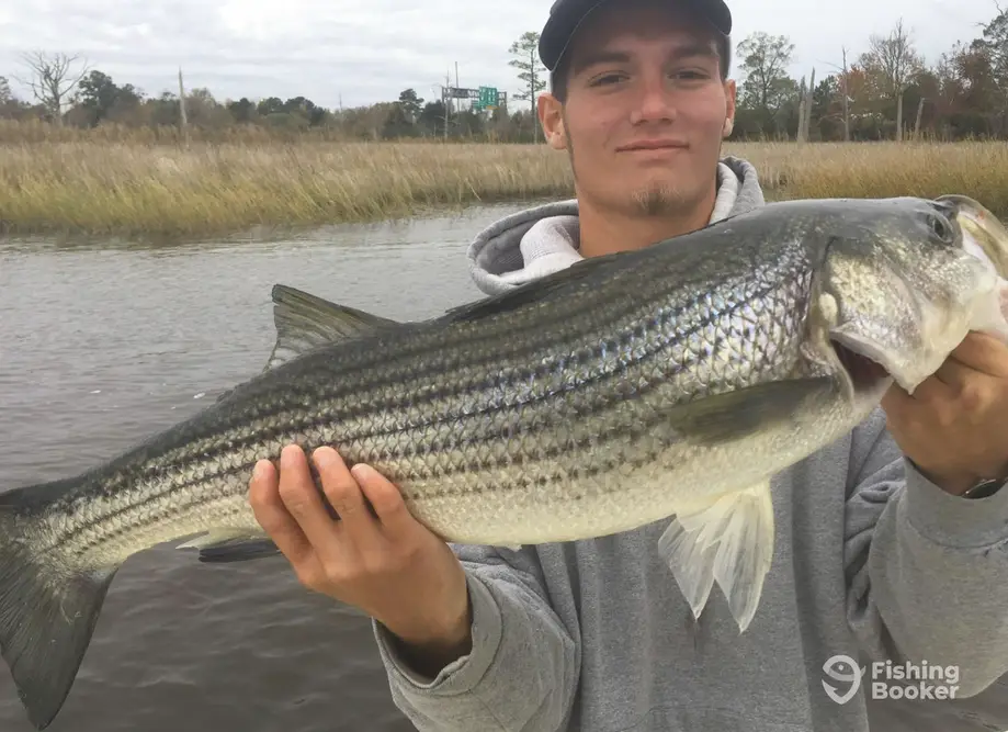 NC Inshore Fishing Charters charter image 4